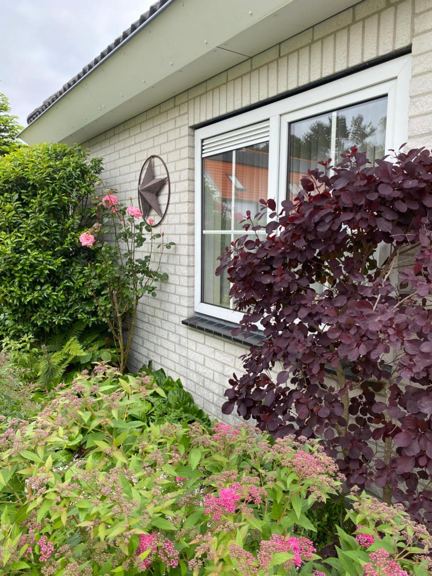 Lonestar Appartement Burgh-Haamstede Exterior photo