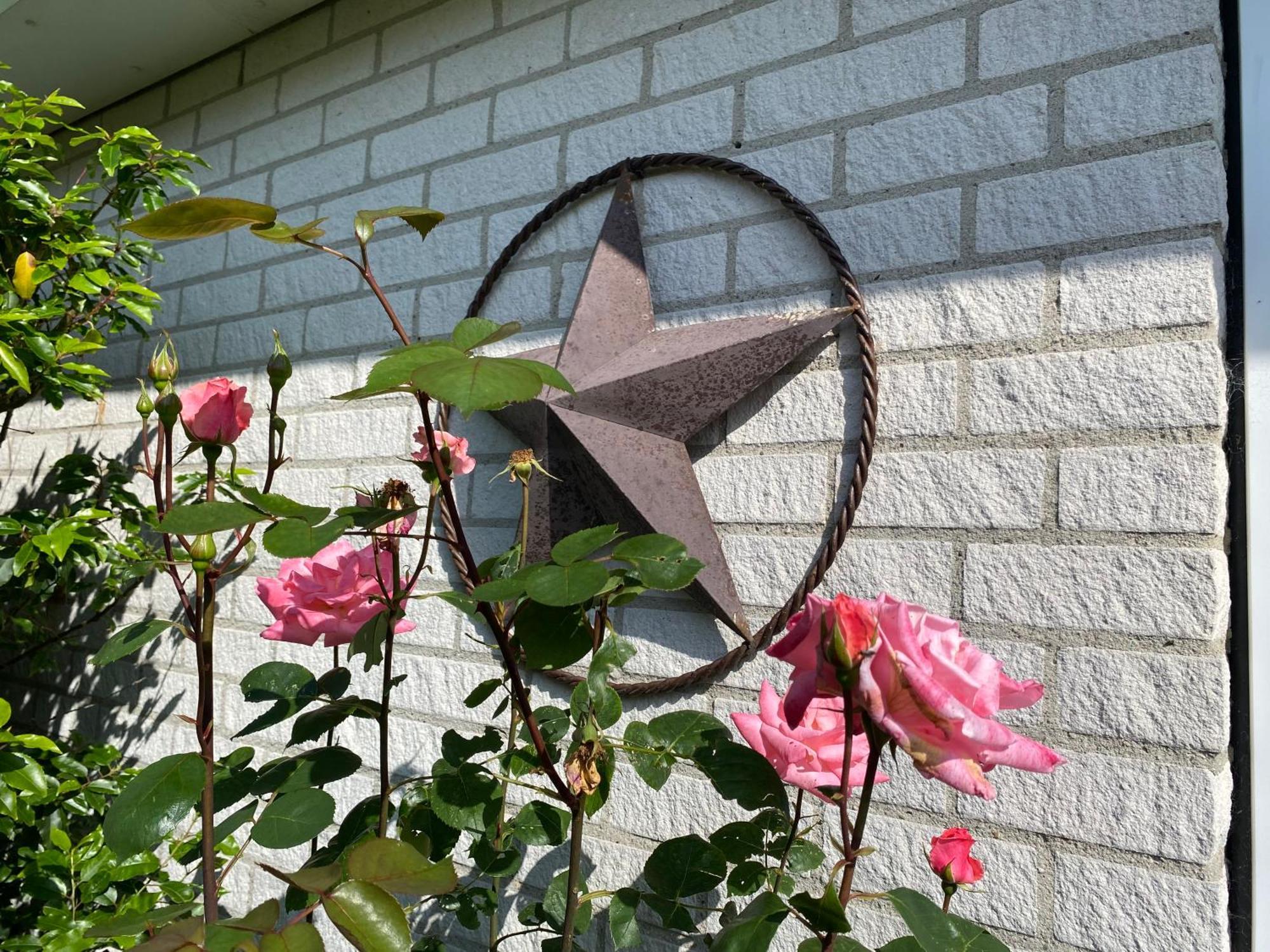 Lonestar Appartement Burgh-Haamstede Exterior photo